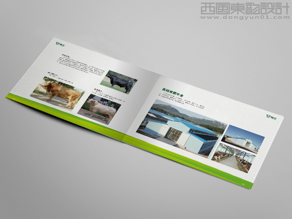 遼寧宏達牛業(yè)發(fā)展有限公司悅牛品牌畫冊育牛舍內頁設計