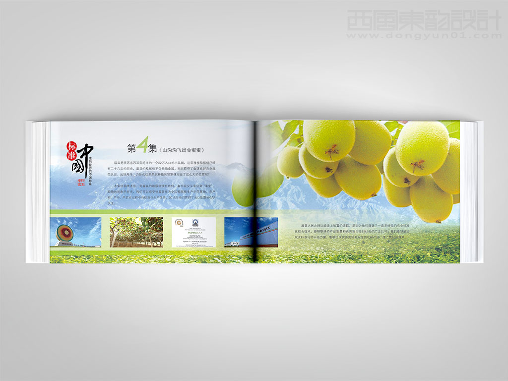 《中國標(biāo)準(zhǔn)化》雜志社標(biāo)準(zhǔn)中國卡冊(cè)設(shè)計(jì)之山溝溝飛出金蛋蛋內(nèi)頁設(shè)計(jì)