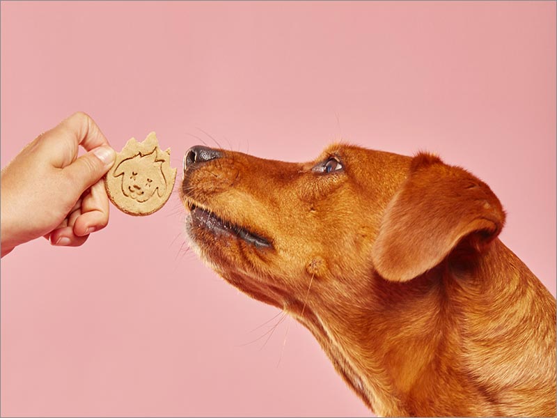 Hot Hounds 另類寵物食品包裝設計之產(chǎn)品實物照片
