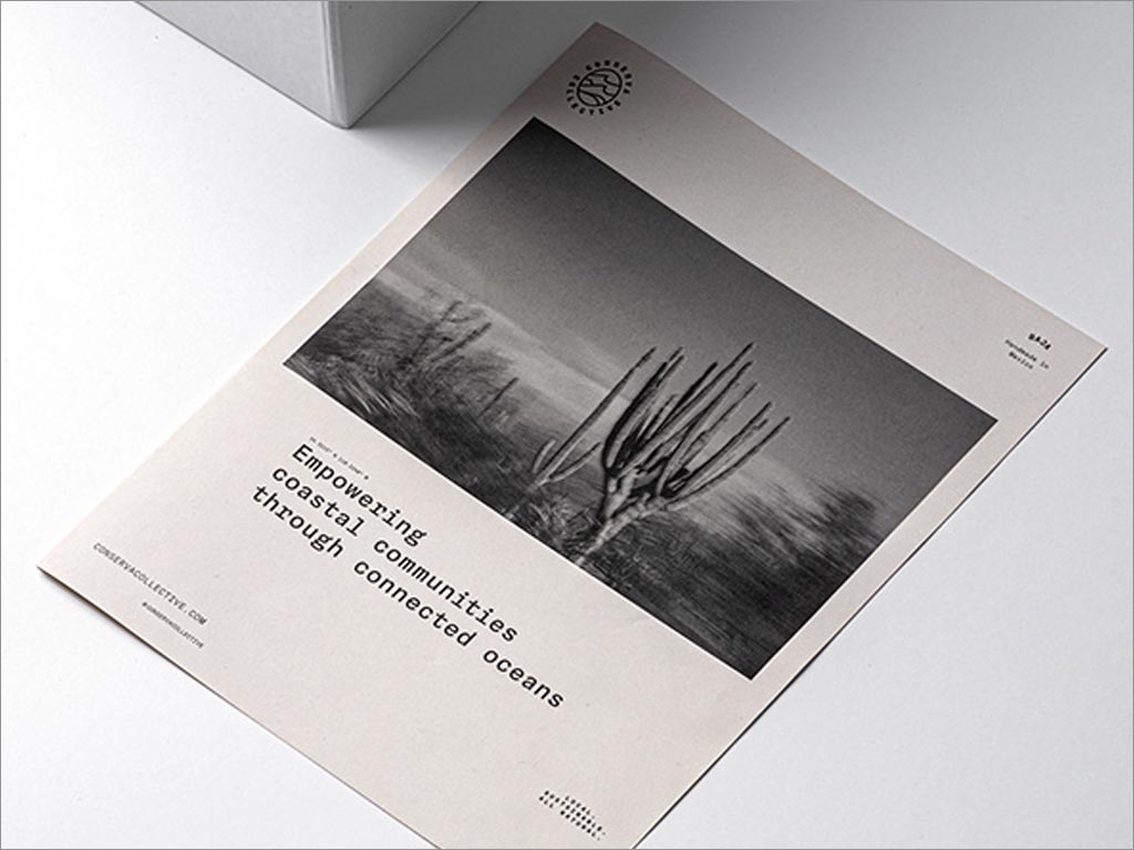 美國Conserva Collective肥皂和洗發(fā)水產品手冊設計