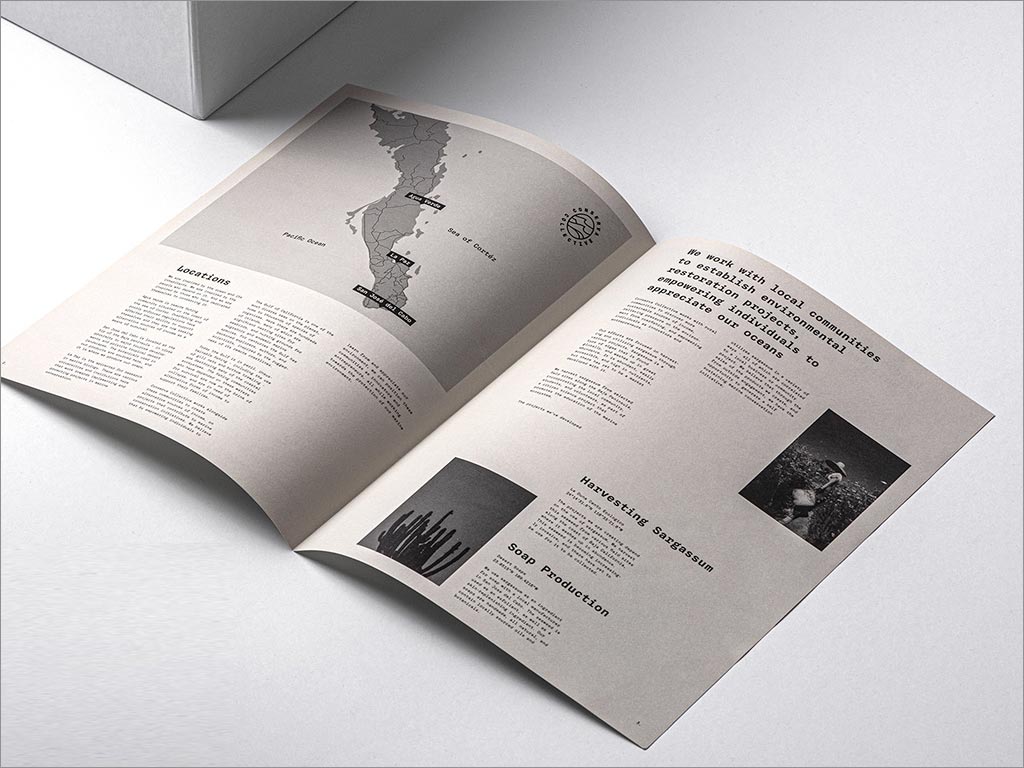 美國Conserva Collective肥皂和洗發(fā)水產品手冊設計