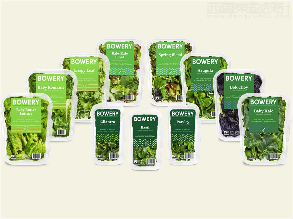 Bowery蔬菜農(nóng)產(chǎn)品包裝設計