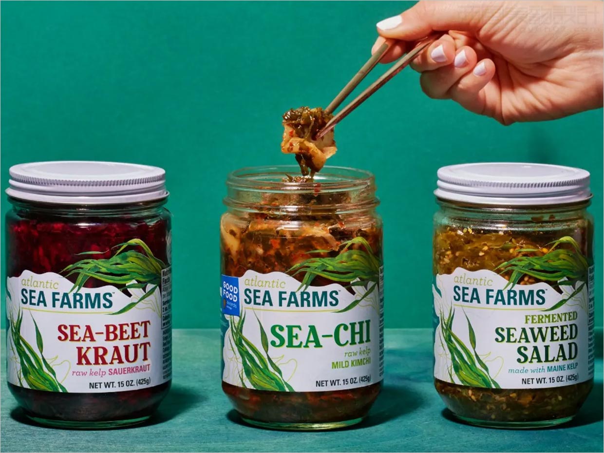 美國Atlantic Sea Farms即食海帶包裝設(shè)計(jì)