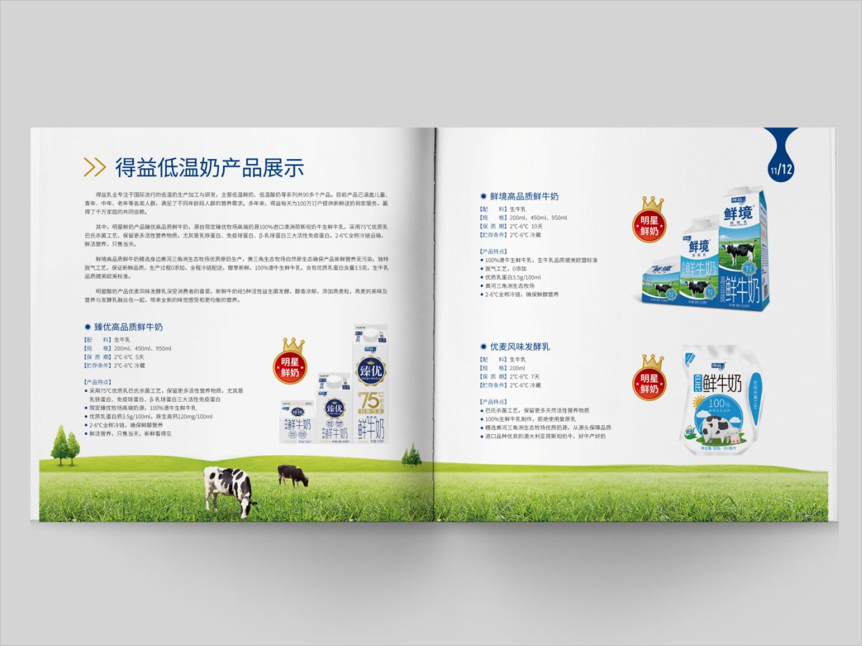 山東得益乳業(yè)股份有限公司畫冊設(shè)計(jì)之內(nèi)頁設(shè)計(jì)
