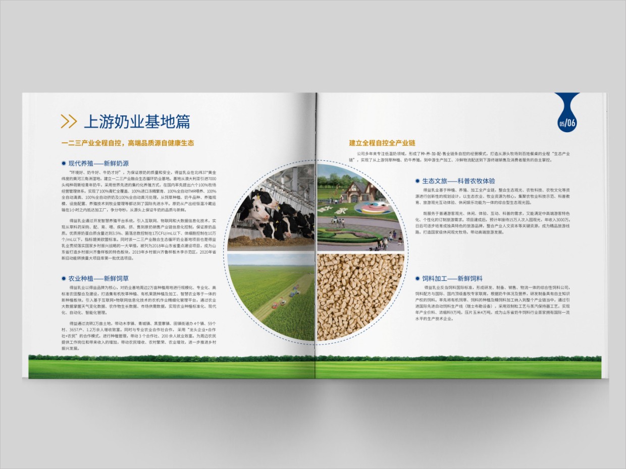 山東得益乳業(yè)股份有限公司畫冊設(shè)計(jì)之內(nèi)頁設(shè)計(jì)