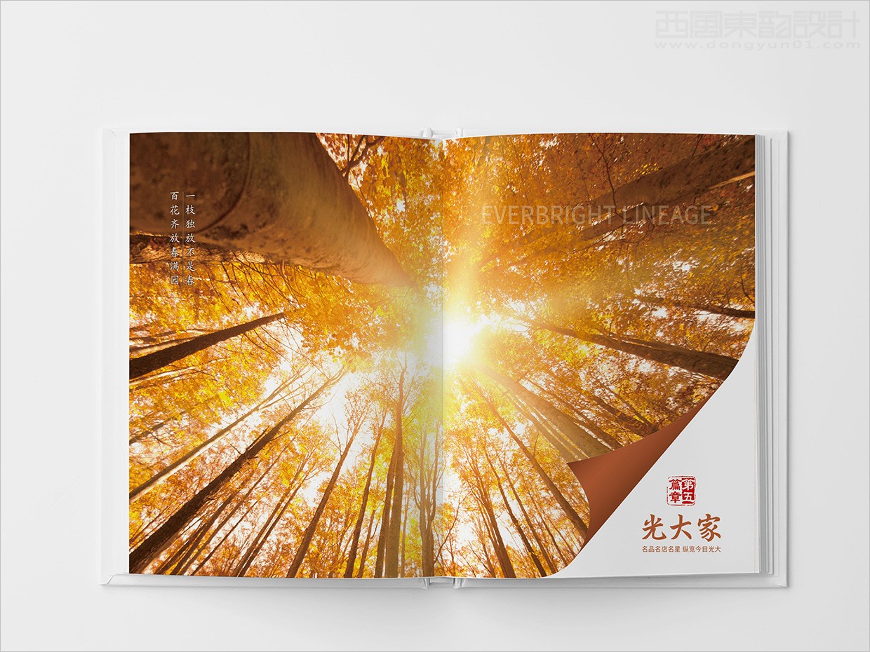 中國光大集團(tuán)畫冊設(shè)計(jì)之畫冊內(nèi)頁設(shè)計(jì)